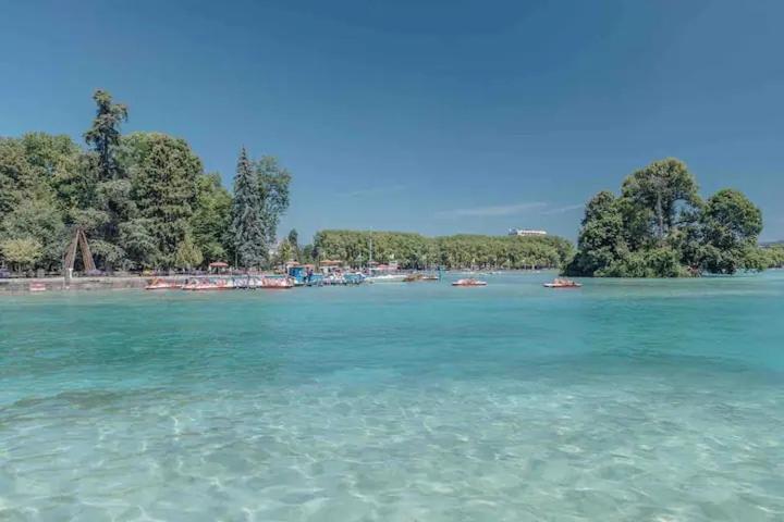 Cabana & Le Cocon Annecy Centre - Proche Gare Et Lac Dış mekan fotoğraf